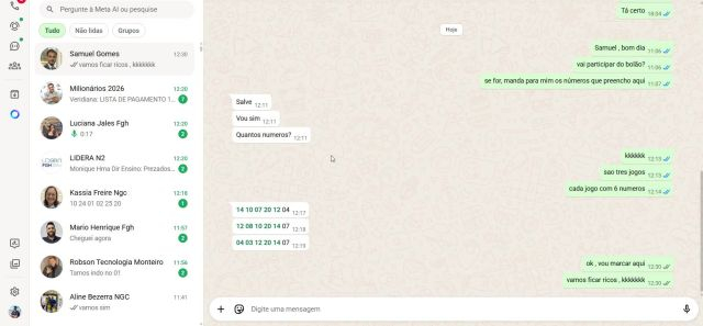 6 - Finalização da Manifestação